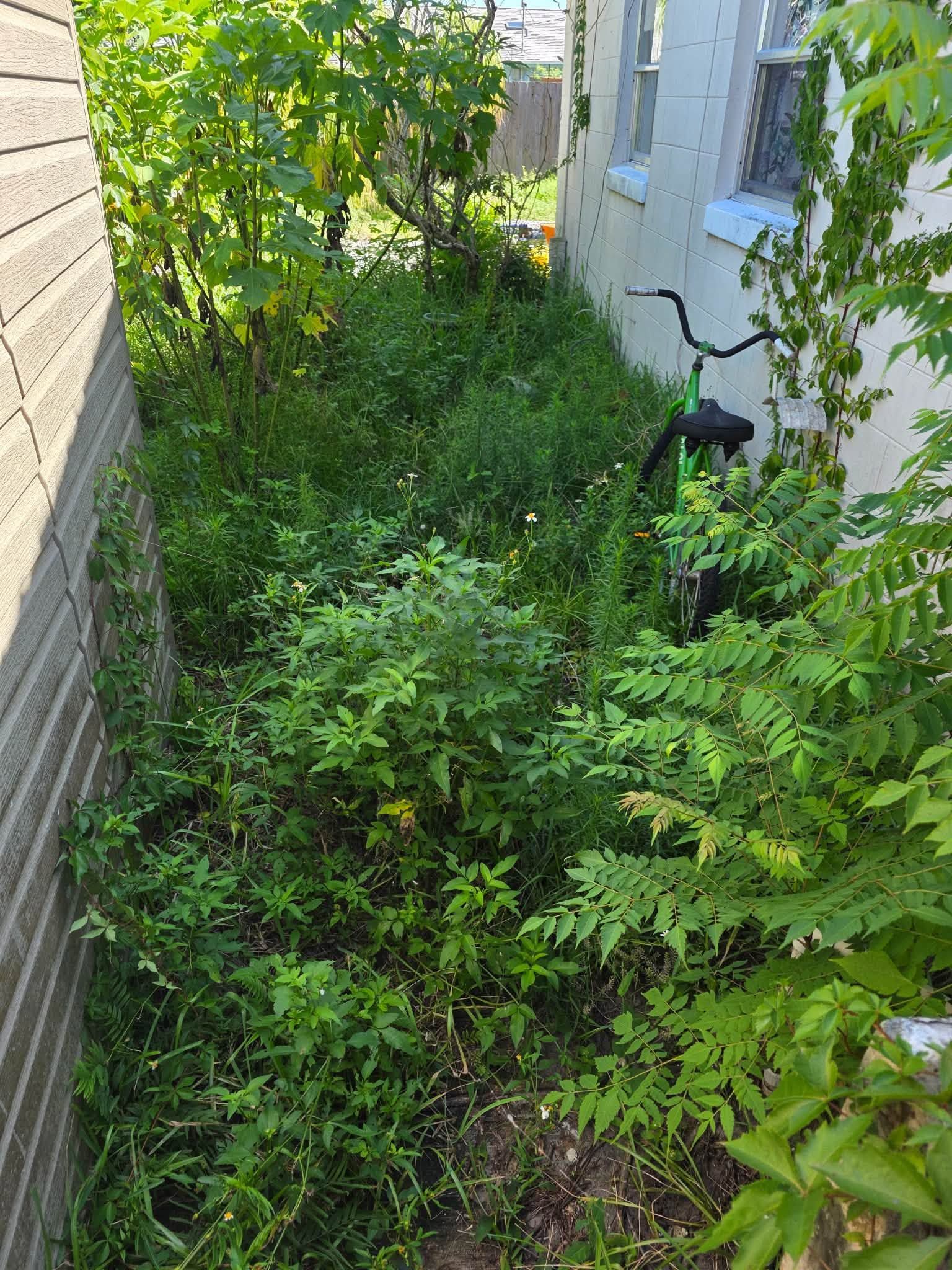 Before and after - before